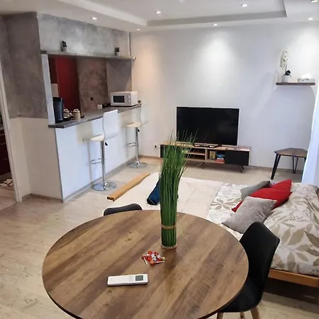 Cozy T2 Appartement Ornex